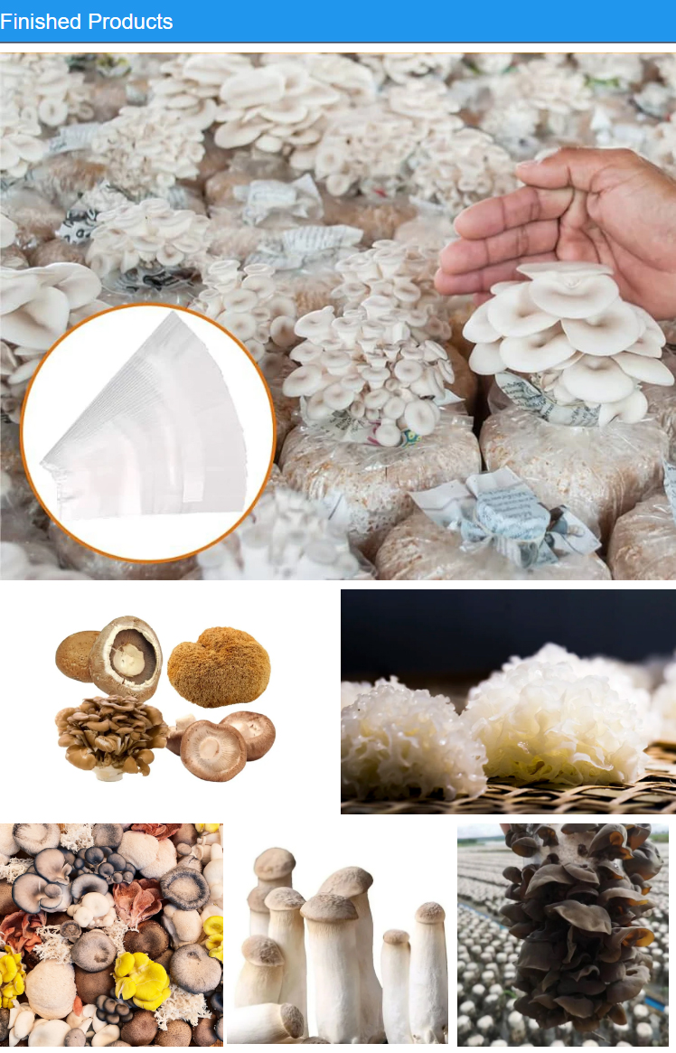 whatsapp+86-15093228930-mushroom-machine_07.jpg