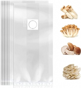 mushroom growing bag