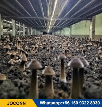 Mushroom Growing Container